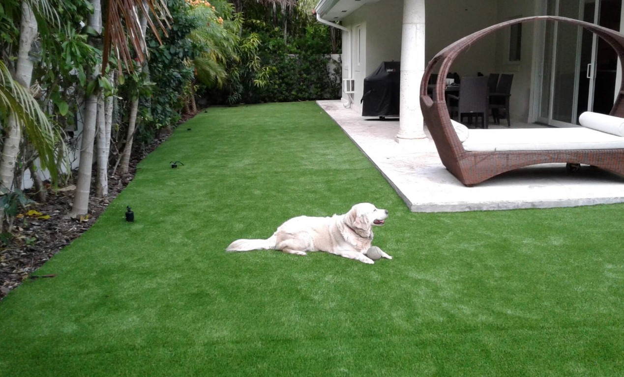 Pet-safe artificial grass with advanced drainage for dogs in Winston-Salem, NC
